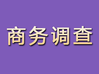 歙县商务调查